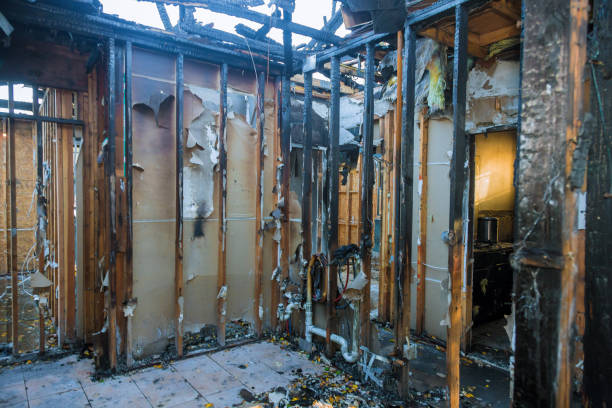 Professional Fire Damage Removal technician working in Sun Valley, PA